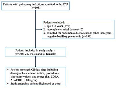 Risk stratification and survival time of patients with gram-negative bacillary pneumonia in the intensive care unit